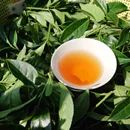 有機蜜香紅茶(白毛猴種)