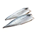 買6送6-頂級挪威薄鹽鯖魚6包組-送鮮凍特選魷魚圈6包