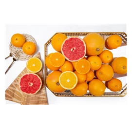 農產百寶箱柑橘同樂匯