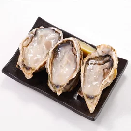 日本原裝巨大生蠔全殼牡蠣(500g 約2-3粒/包)