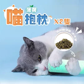 貓咪薄荷抱枕/貓玩具(2入)